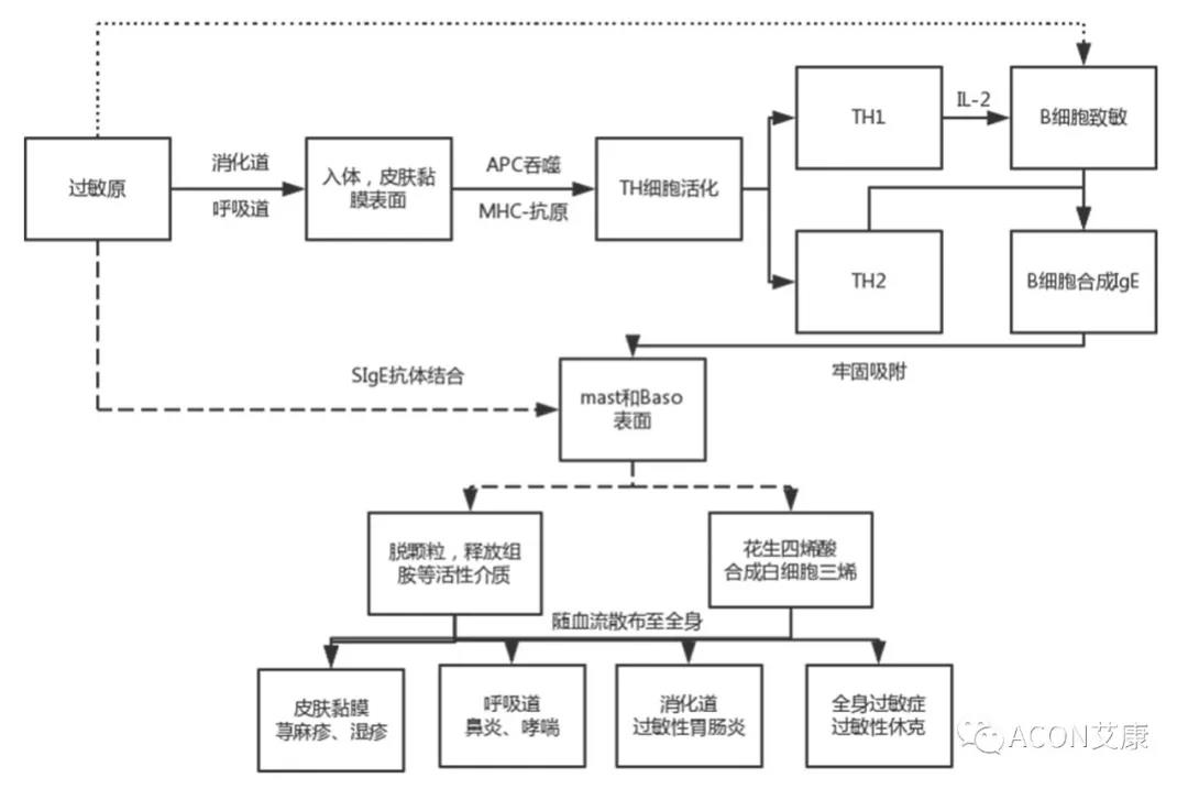 APAAACI 2019 | 深入解读过敏原：从诊断到治疗，优化过敏原诊断管理——0055银河官网生物过敏原检测分会