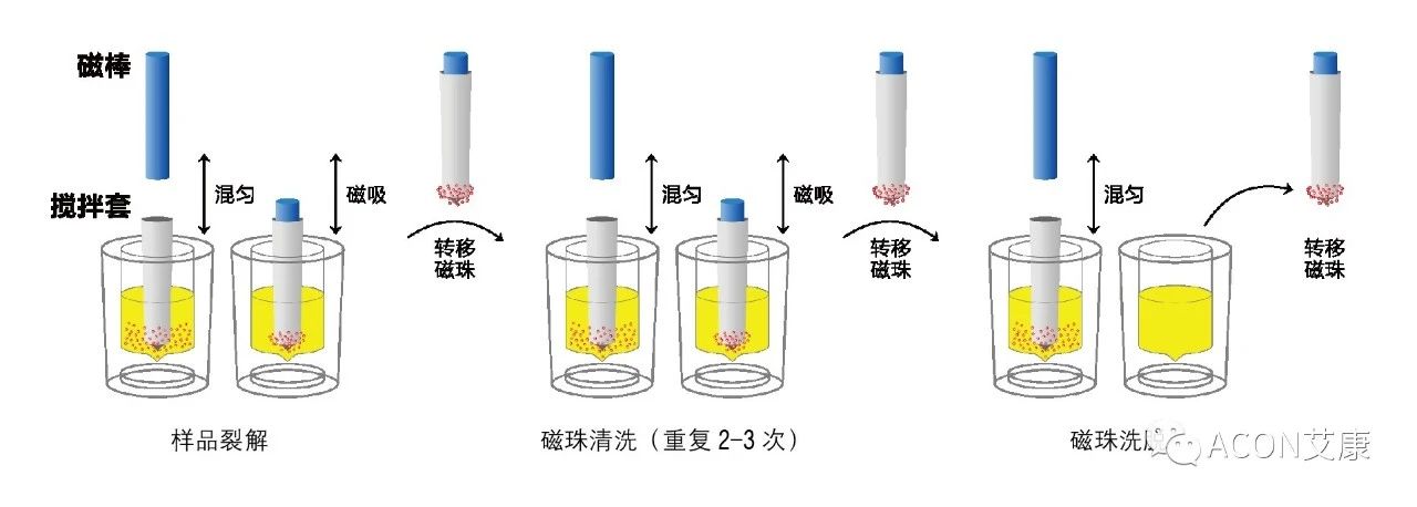 Promotor®核酸提纯仪， 让基因提纯更便捷。