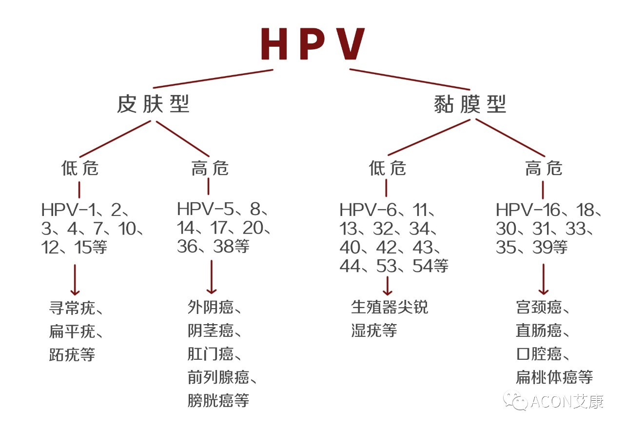 HPV疫苗有必要打吗？二价、四价、九价要如何选择！