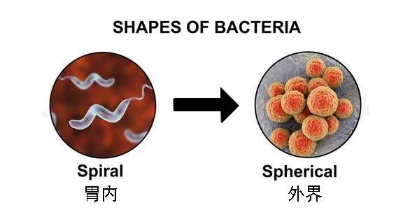 这种致癌物传染性极强，50%中国人都有！很多人还不知道