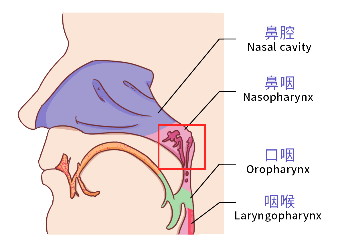 微信图片_20220616085604.png